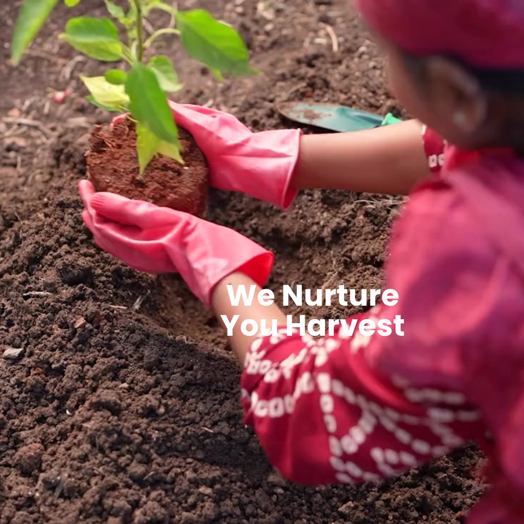We Nurture Your Harvest